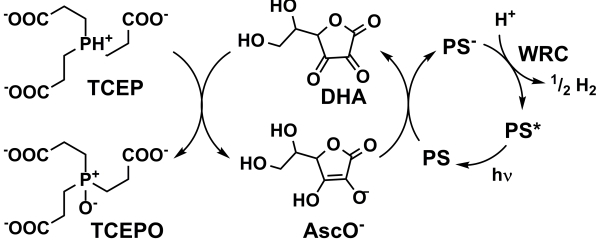 scheme_5