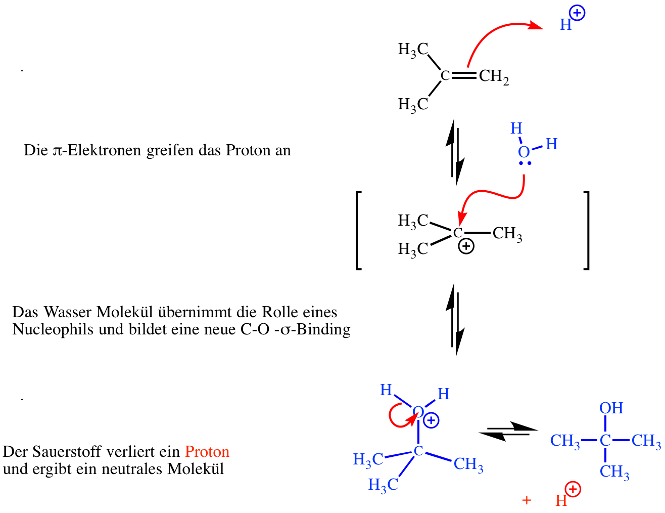 mechanismus