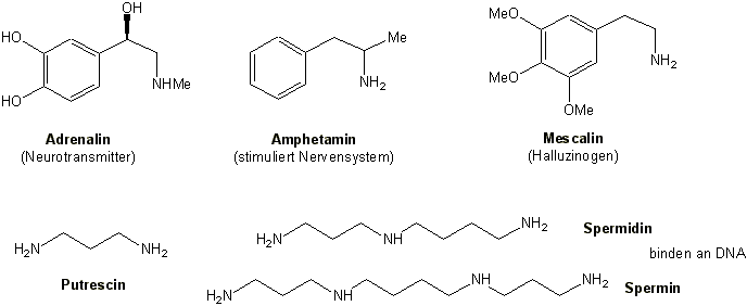 13.6