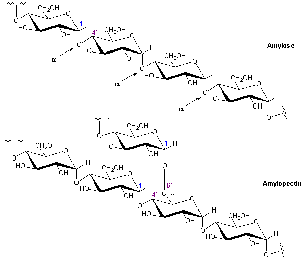 the chemistry of the cyclopropyl group 1987