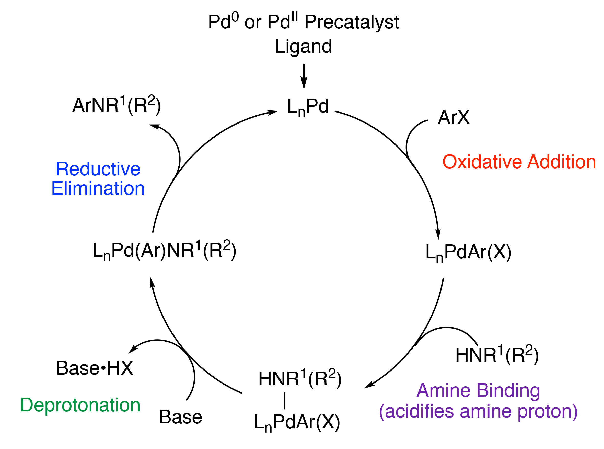 Graphical Abstract