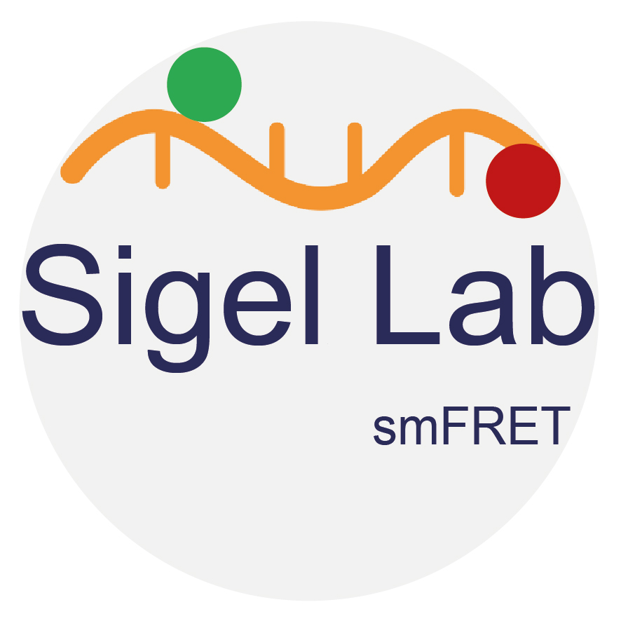 Logo_smFRET