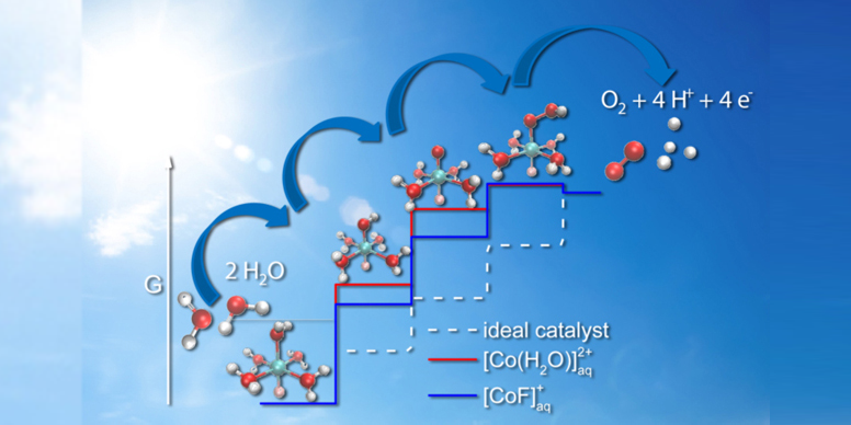 Research Luber_Patzke_Groups