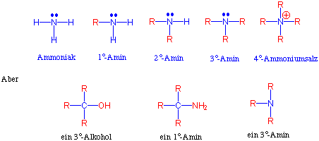 Prof. Blumes Medienangebot: Ammoniak, Amine und Säure-Amide