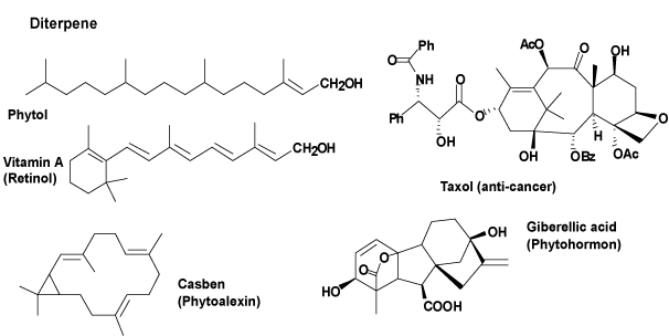 injection steroide - Que pouvez-vous apprendre de vos critiques