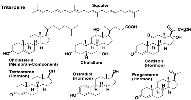 Kunden finden mit steroide dosierung