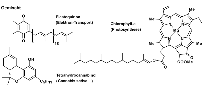 steroide psychische nebenwirkungen Ethik und Etikette