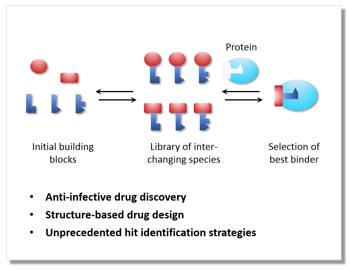 hirschresearch